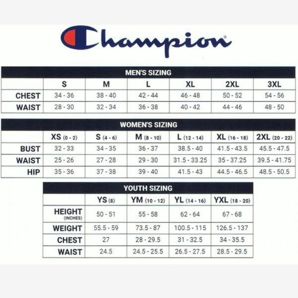 Champion Script Crewneck Sweatshirt - Small - Picture 8 of 8